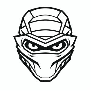 Ninja Turtle - Ninja Turtle Krieger Maske für Kinder